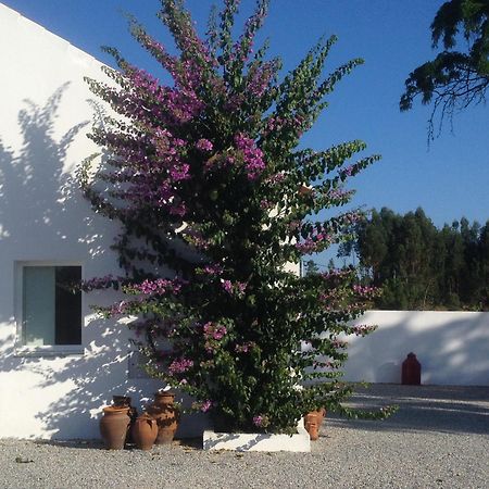 Monte Das Texugueiras - Adults Only Екстер'єр фото