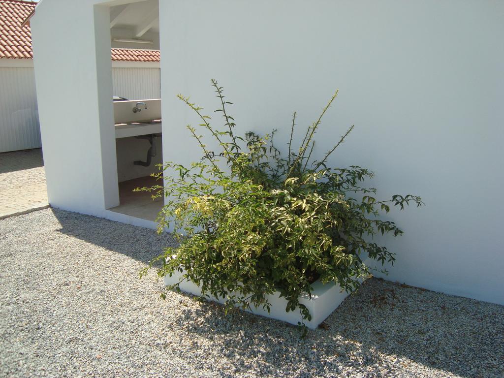 Monte Das Texugueiras - Adults Only Екстер'єр фото