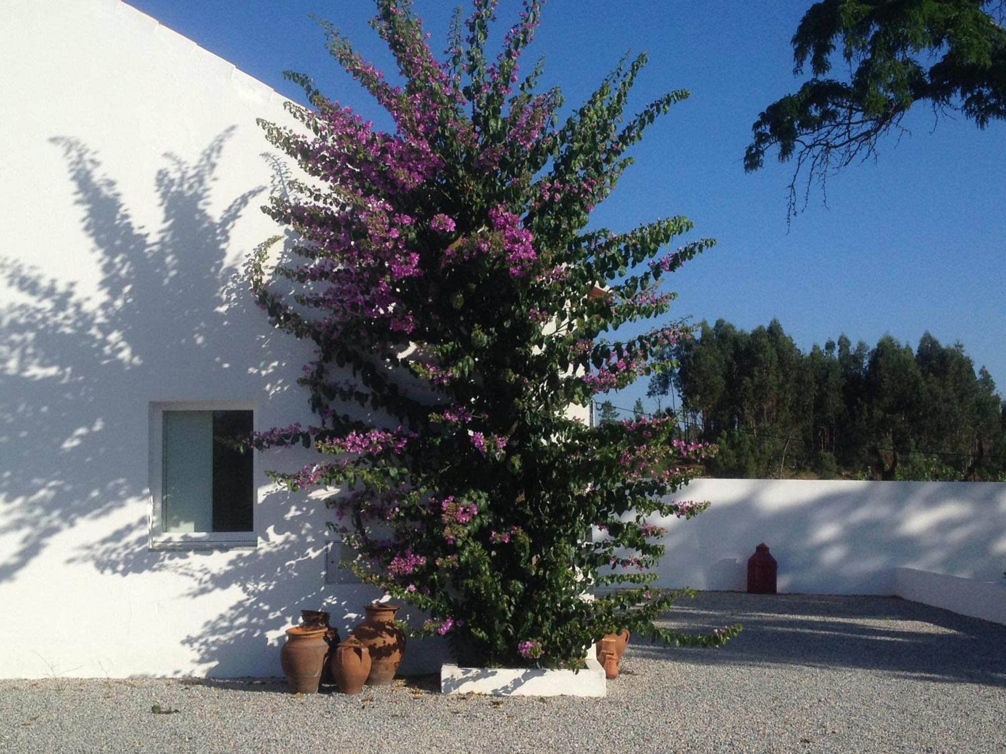 Monte Das Texugueiras - Adults Only Екстер'єр фото