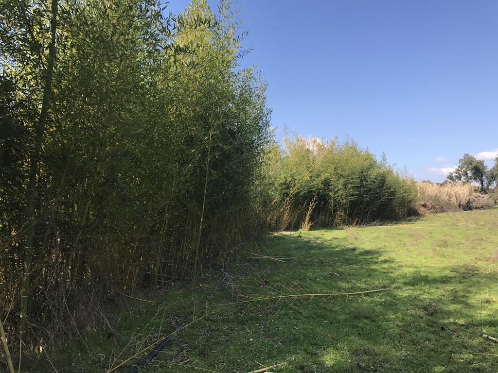 Monte Das Texugueiras - Adults Only Екстер'єр фото