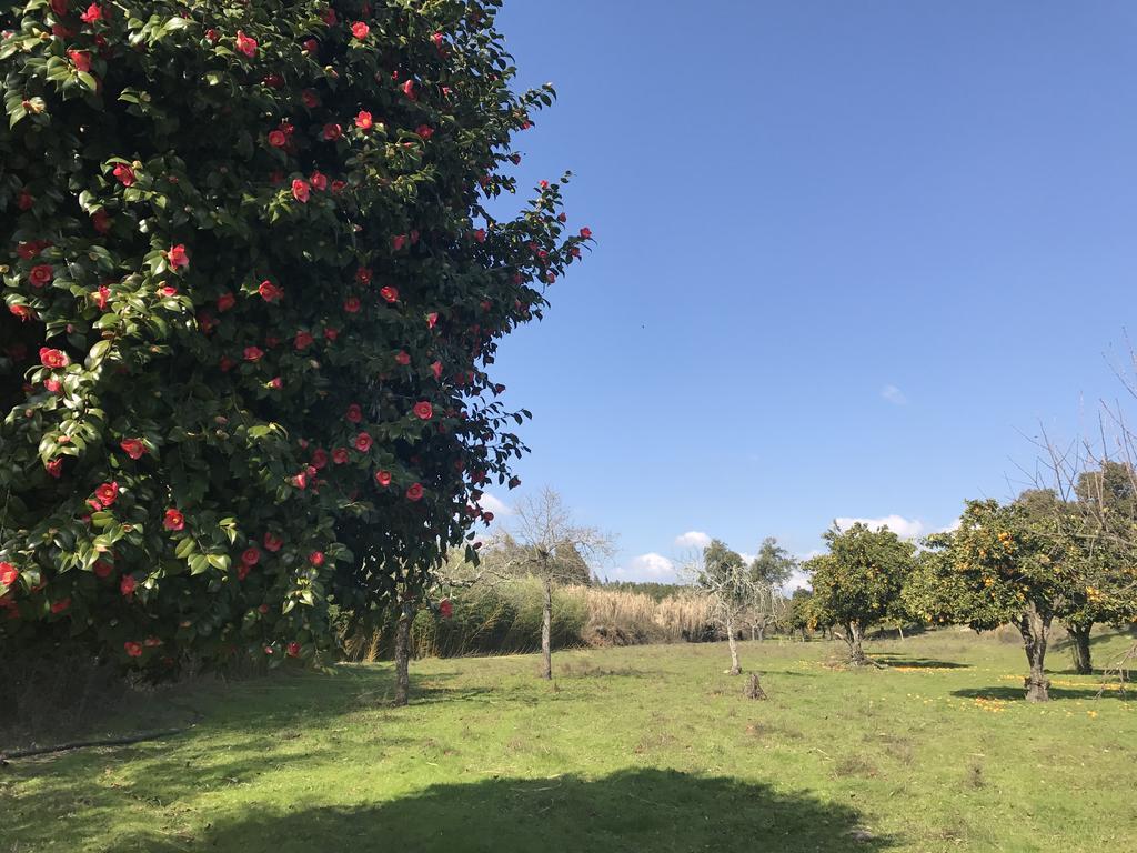 Monte Das Texugueiras - Adults Only Екстер'єр фото